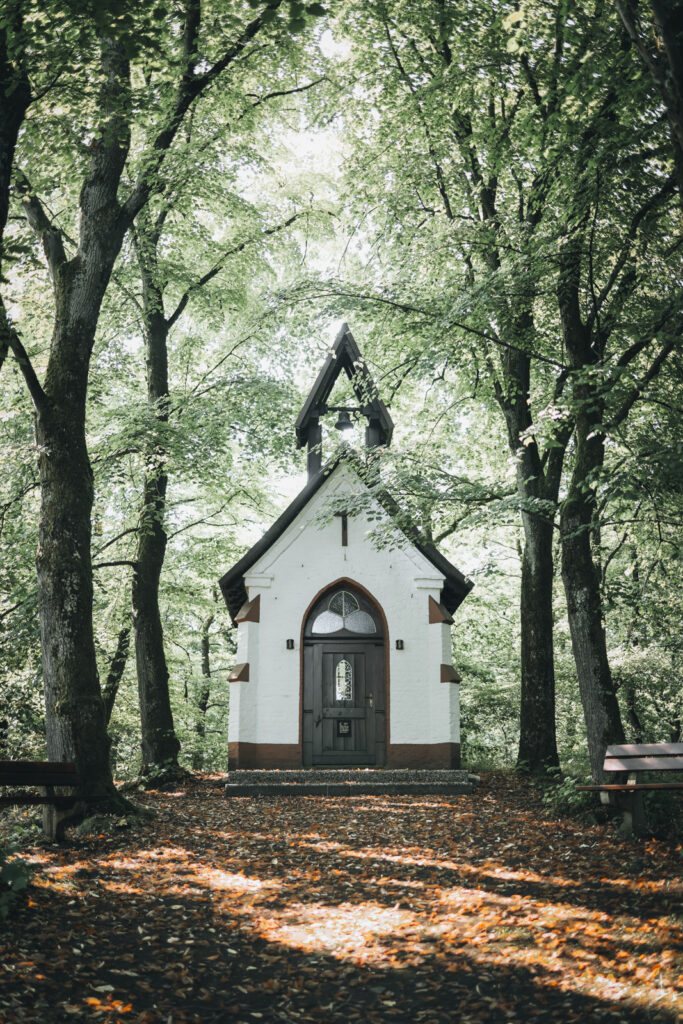 Wandern im Sauerland Veilscheder Sonnenpfad Nordschleife 