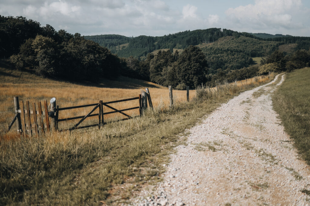 Wandern im Sauerland Veilscheder Sonnenpfad Nordschleife 