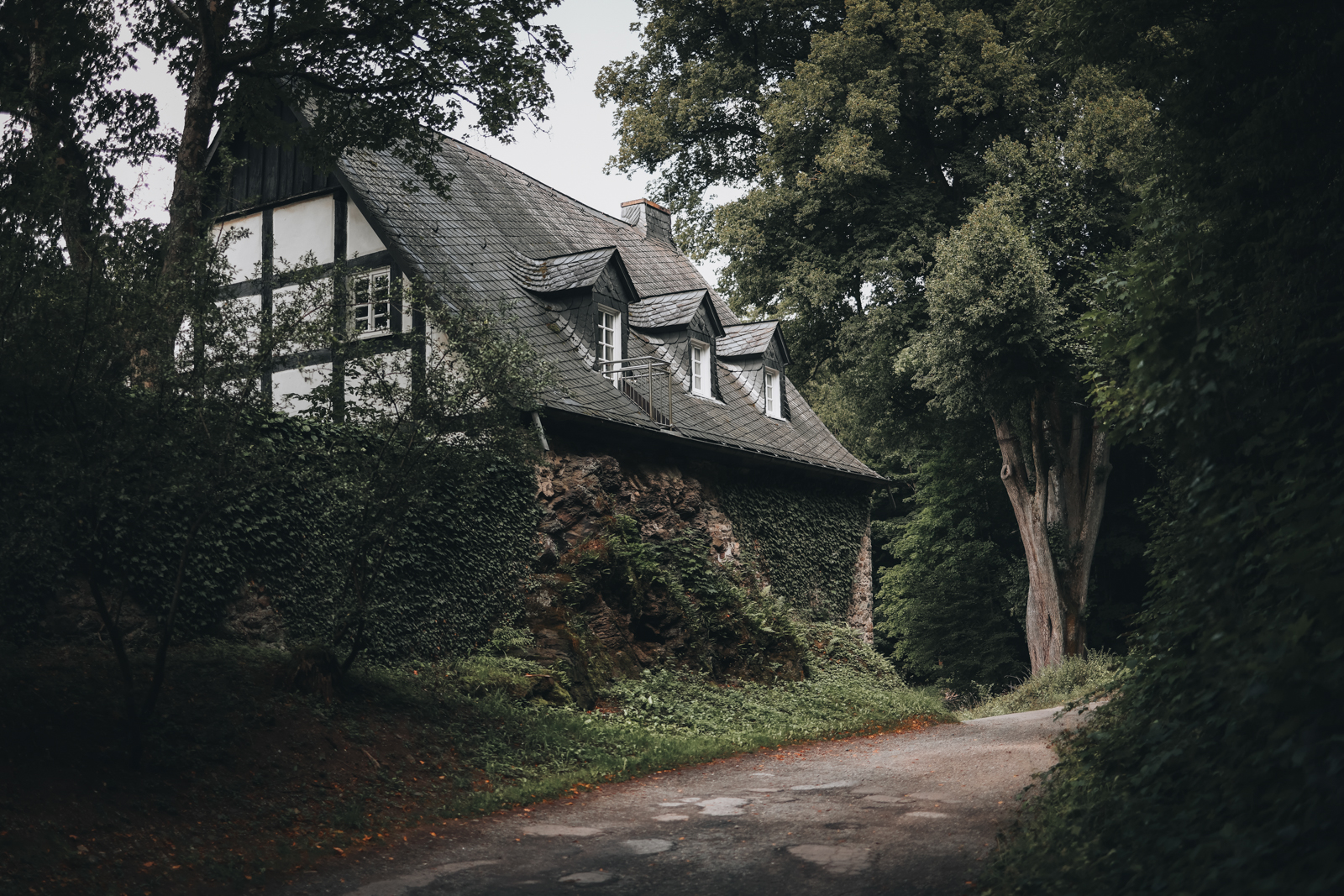 Wandern im Sauerland Veilscheder Sonnenpfad Nordschleife Burg Bilstein