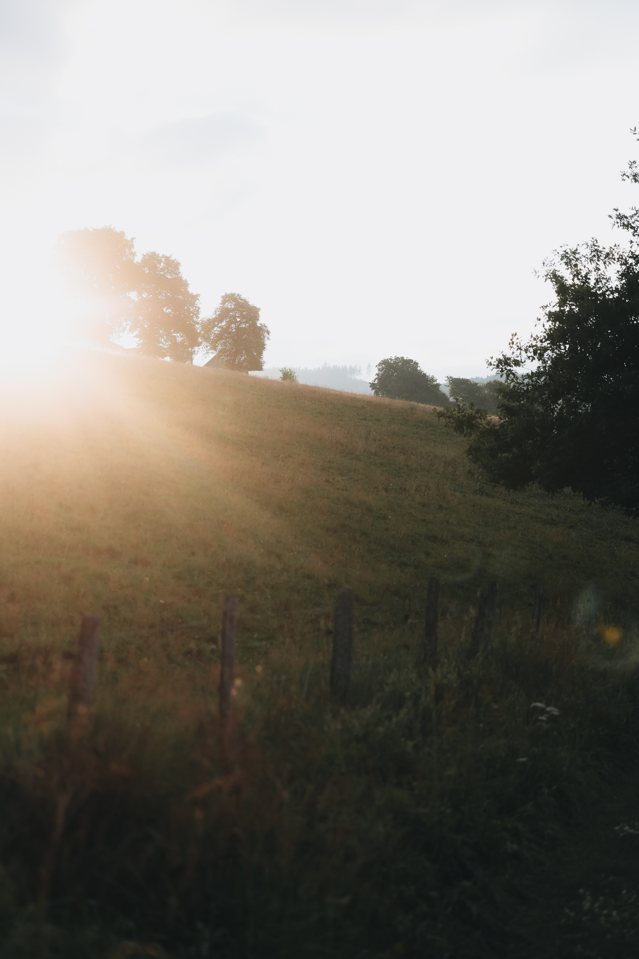 Wandern im Sauerland Oberhundem Adolphsburg