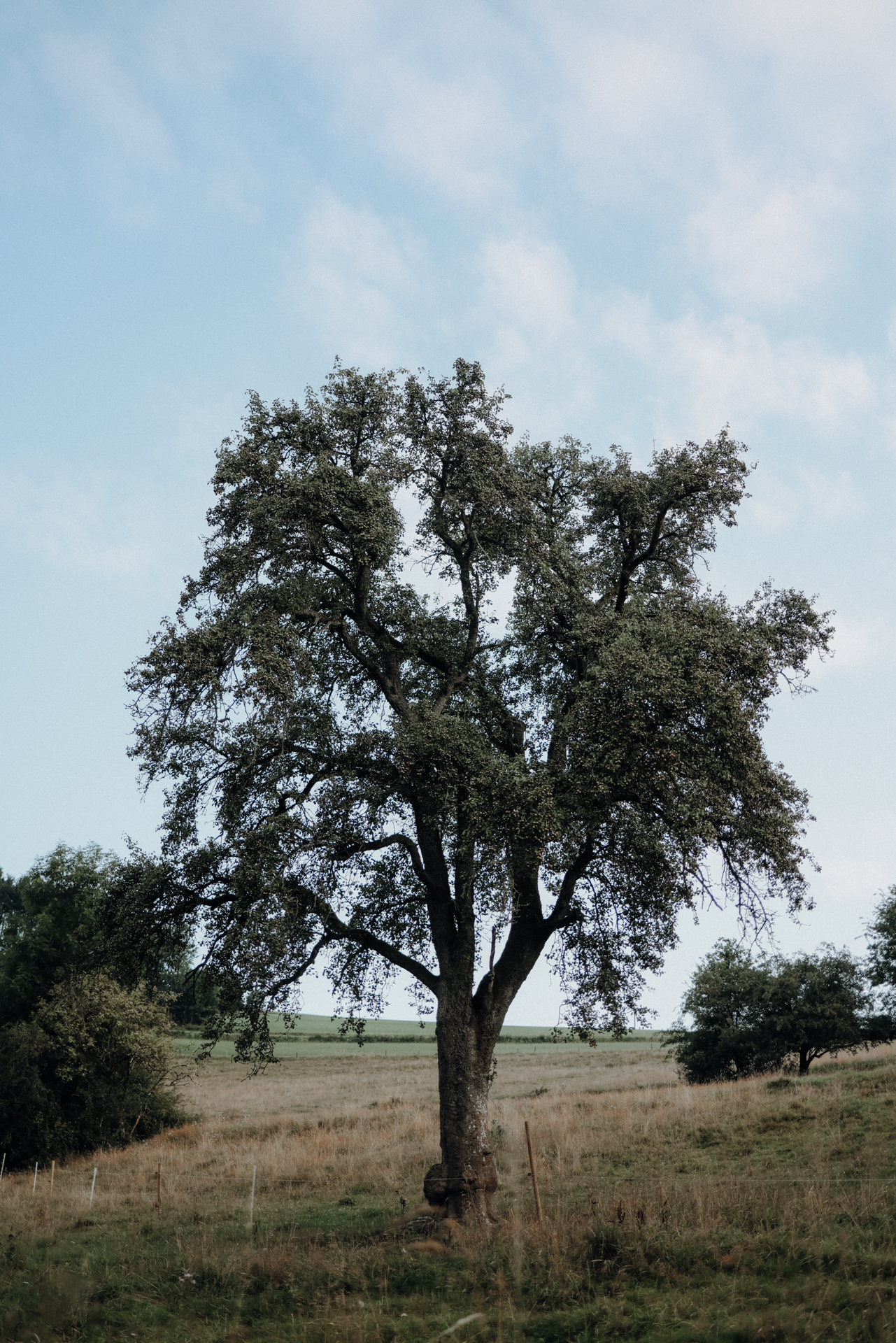 Wandern im Sauerland Oberhundem Adolphsburg