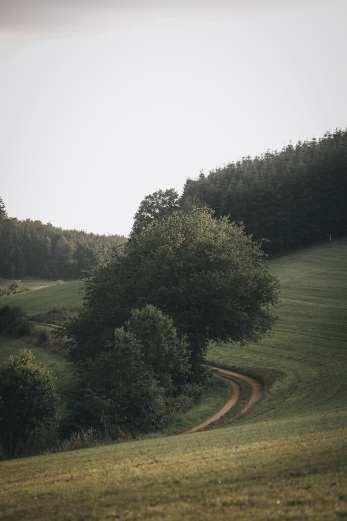 Wandern im Sauerland Weilenscheid Rundwanderung Halberbracht