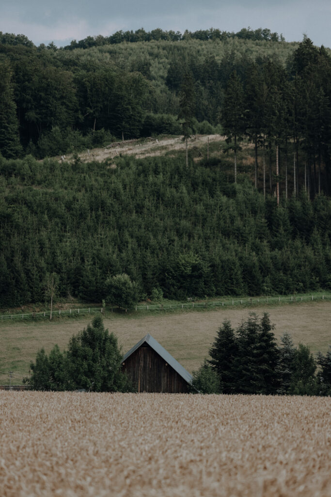 Wandern im Sauerland Weilenscheid Rundwanderung Halberbracht