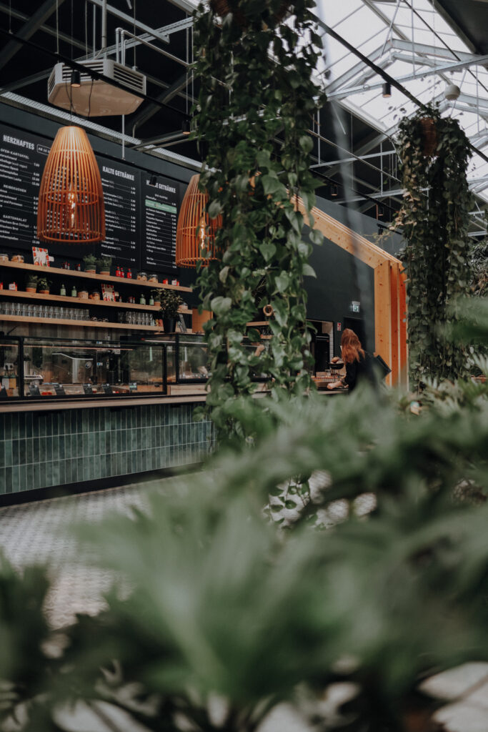 Schlechtwetter-Alternative Regen Ausflug Sauerland Gartencenter Kremer Lennestadt