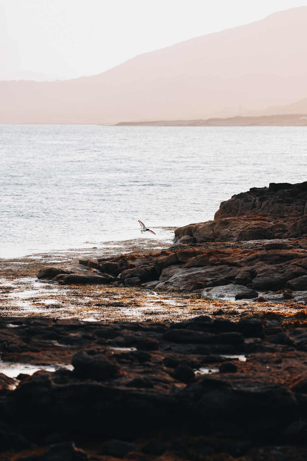 Isle of Mull Loch na Keal Scenic Route