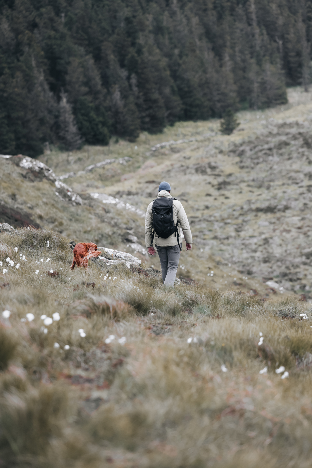 Isle of Mull Wanderung Geheimtipp Lochan ’S Airde Beinn