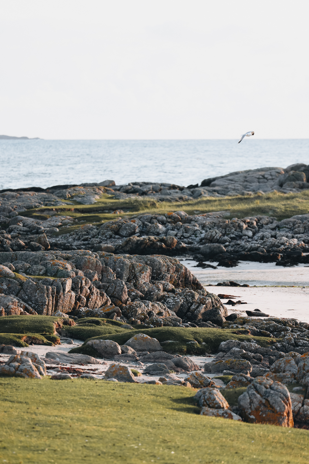 Isle of Mull schönster Strand Fidden Beach