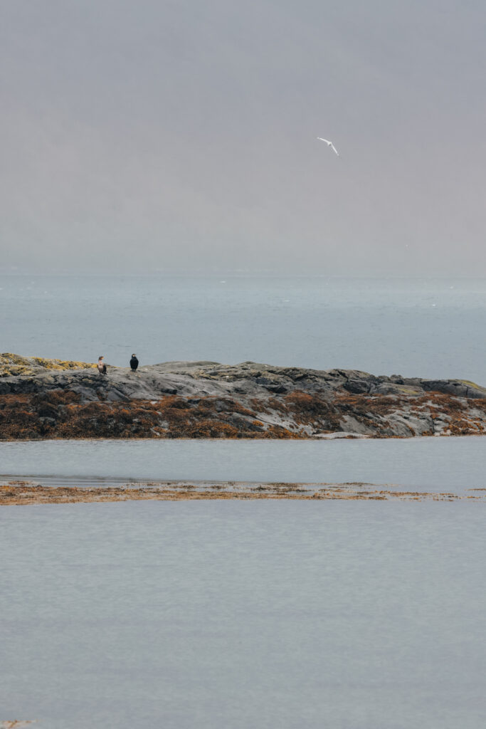 Isle of Mull Garmony Coastal Walk
