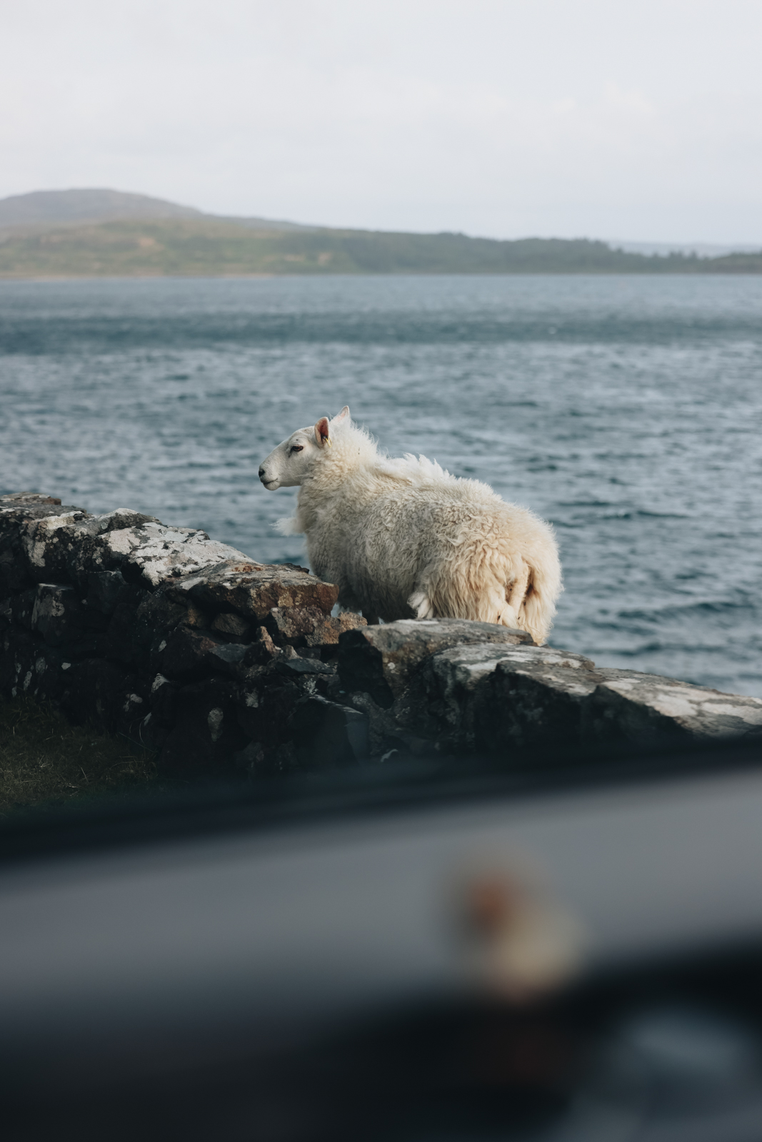 Isle of Mull Loch na Keal Scenic Route