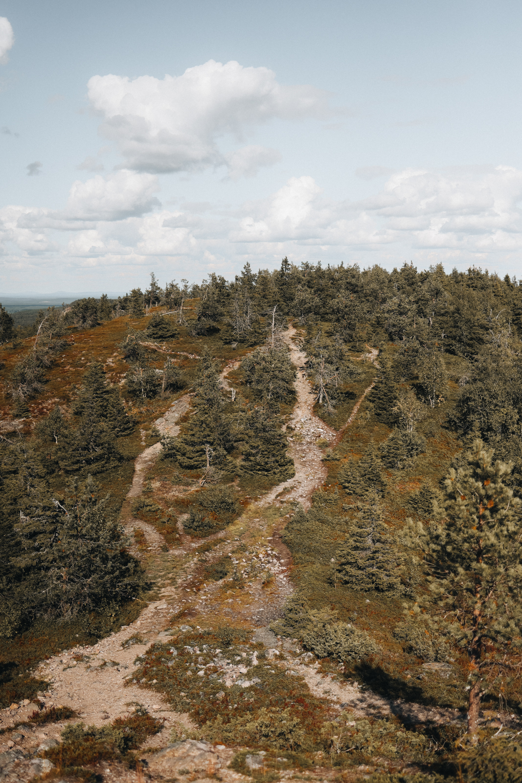 Karhunkierros Finnland Valtavaara