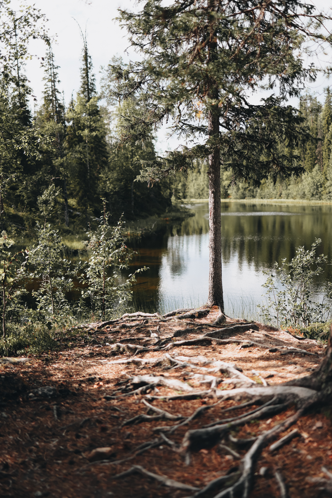 Karhunkierros Finnland Myllylampi