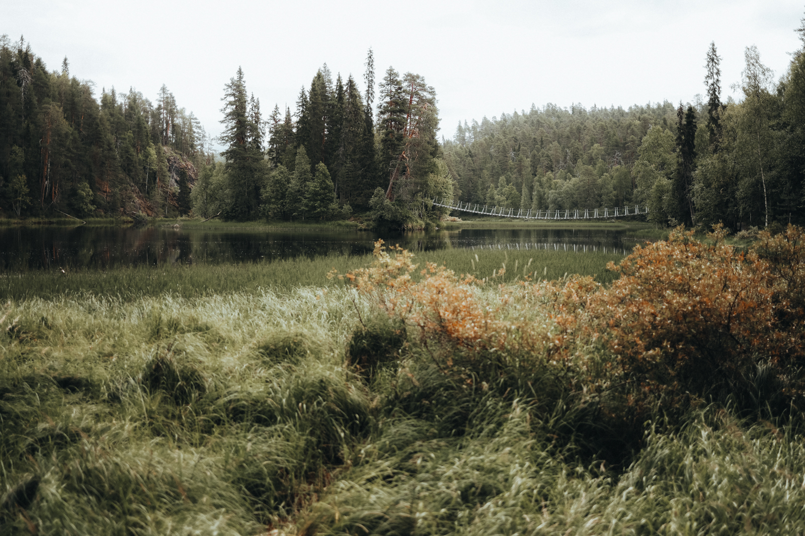 Karhunkierros Finnland Harrisuvanto