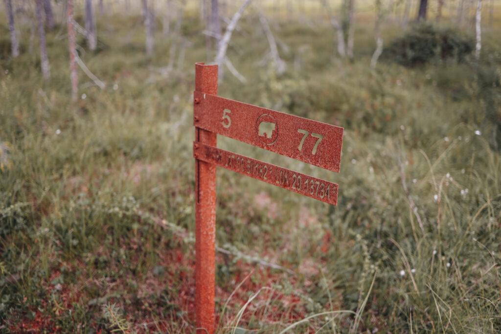 Karhunkierros Trail Planung Anreise Kuusamo Ruka