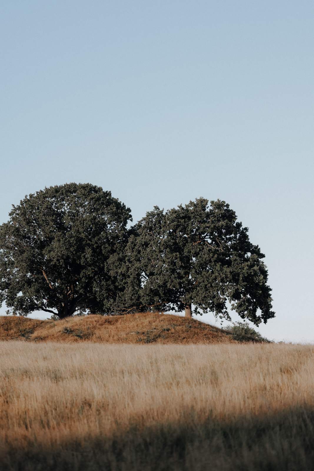 Wandern bei Viborg, De Fem Halder, Dollerup Bakker