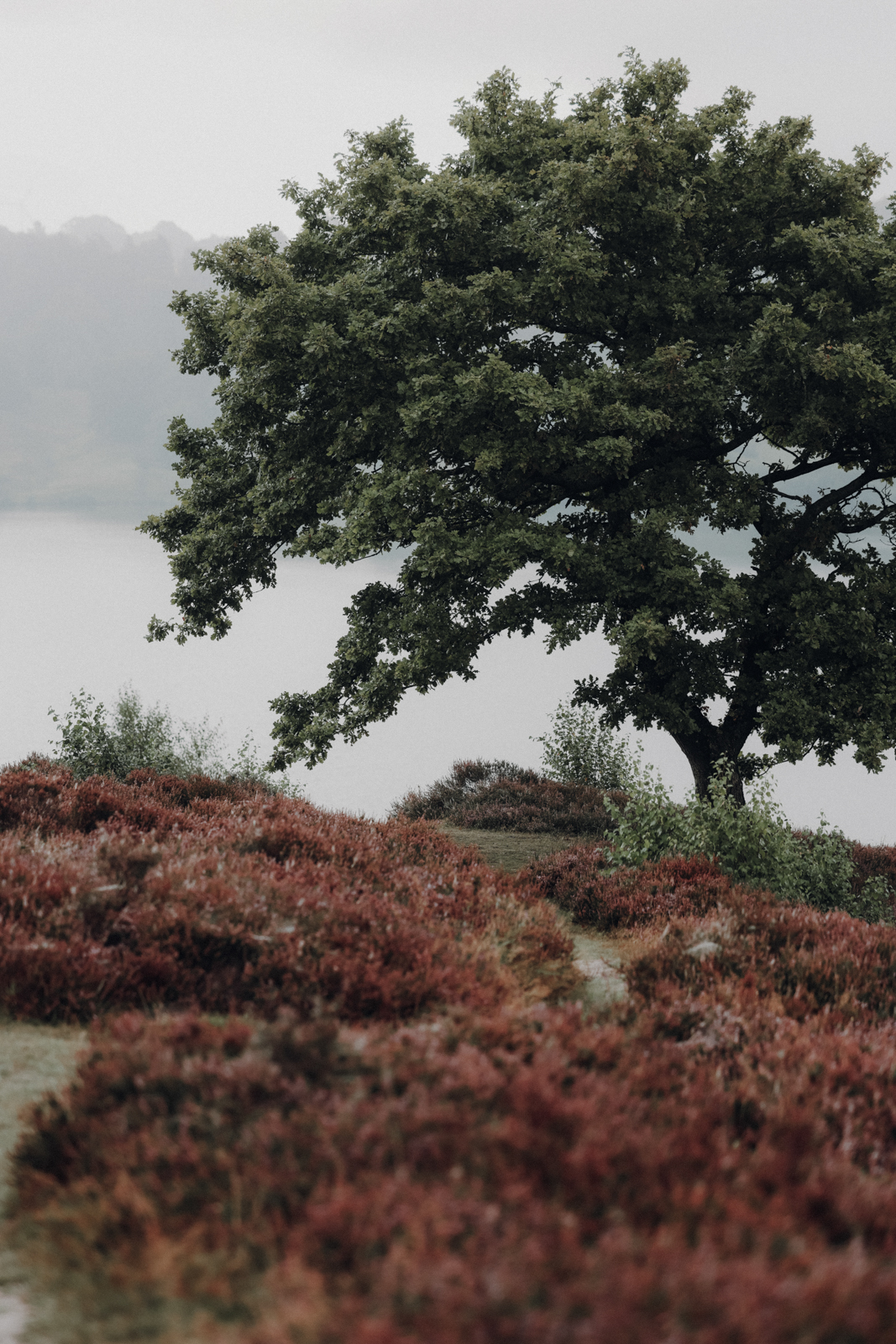 Wandern bei Viborg, De Fem Halder, Dollerup Bakker