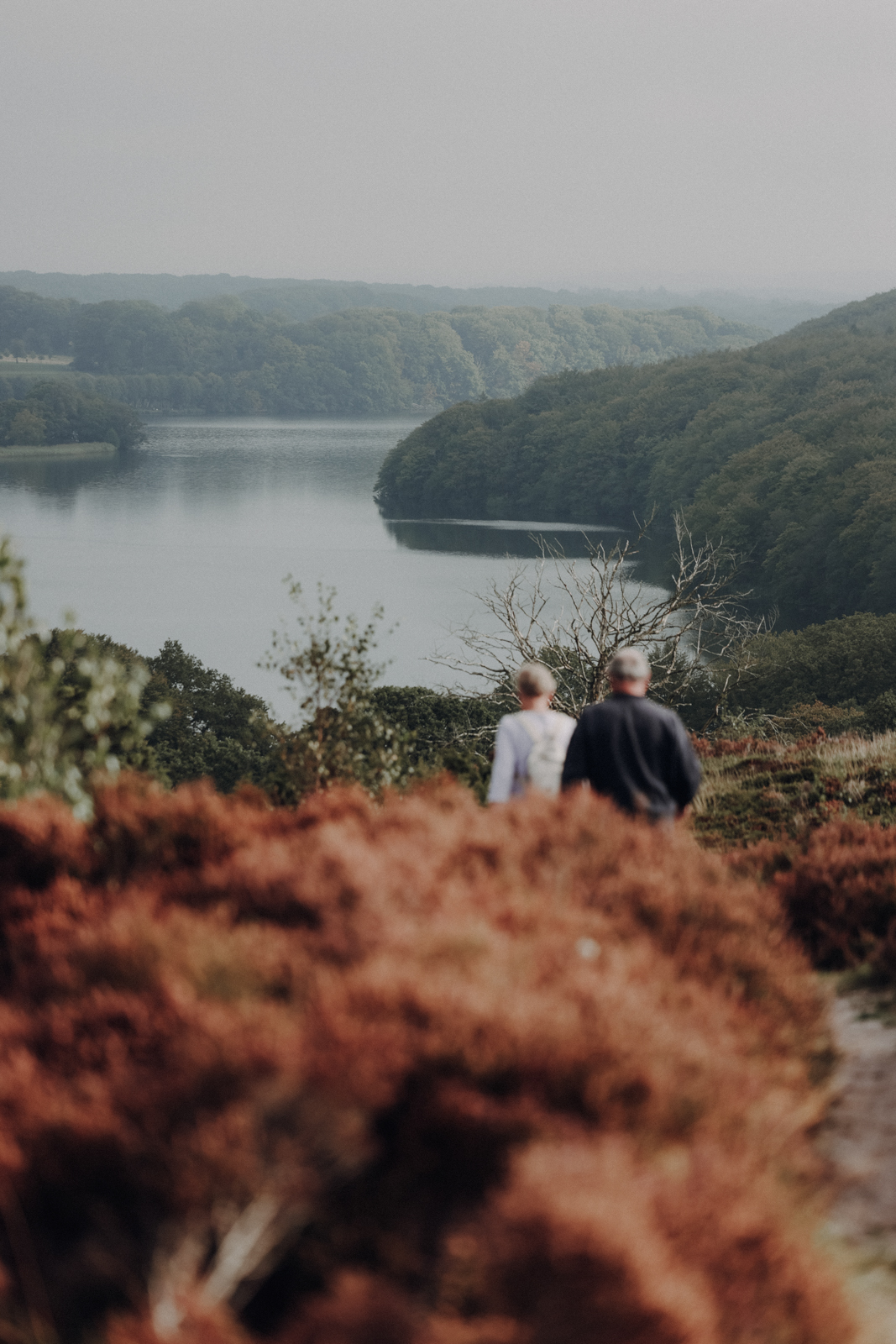 Wandern bei Viborg, De Fem Halder, Dollerup Bakker