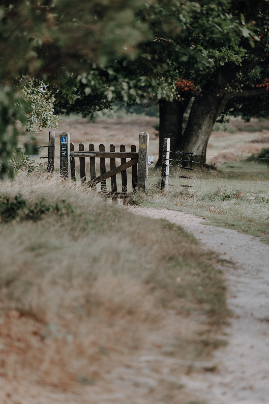 Wandern bei Viborg, De Fem Halder, Dollerup Bakker
