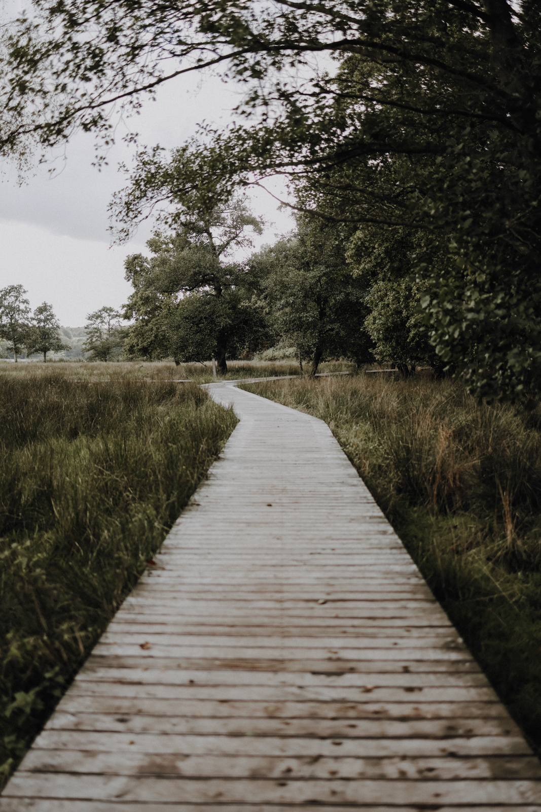 Wandern bei Viborg, De Fem Halder, Dollerup Bakker