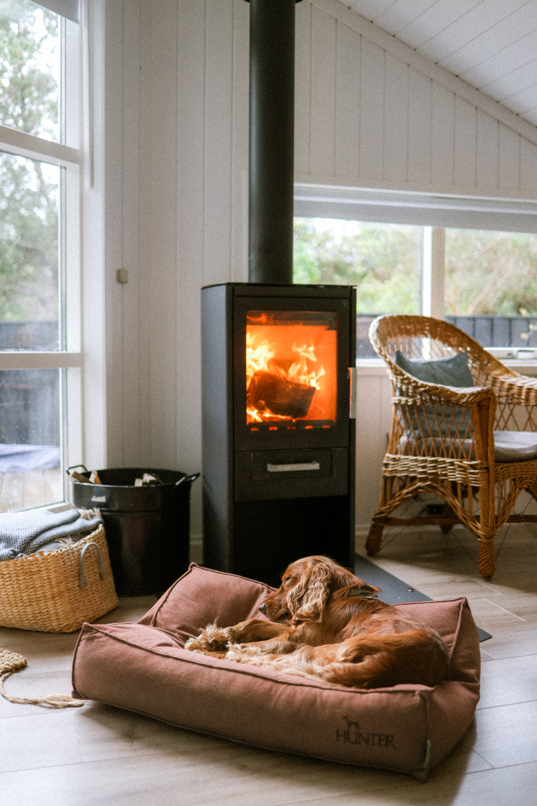Hvide Sande Ferienhaus DanWest 