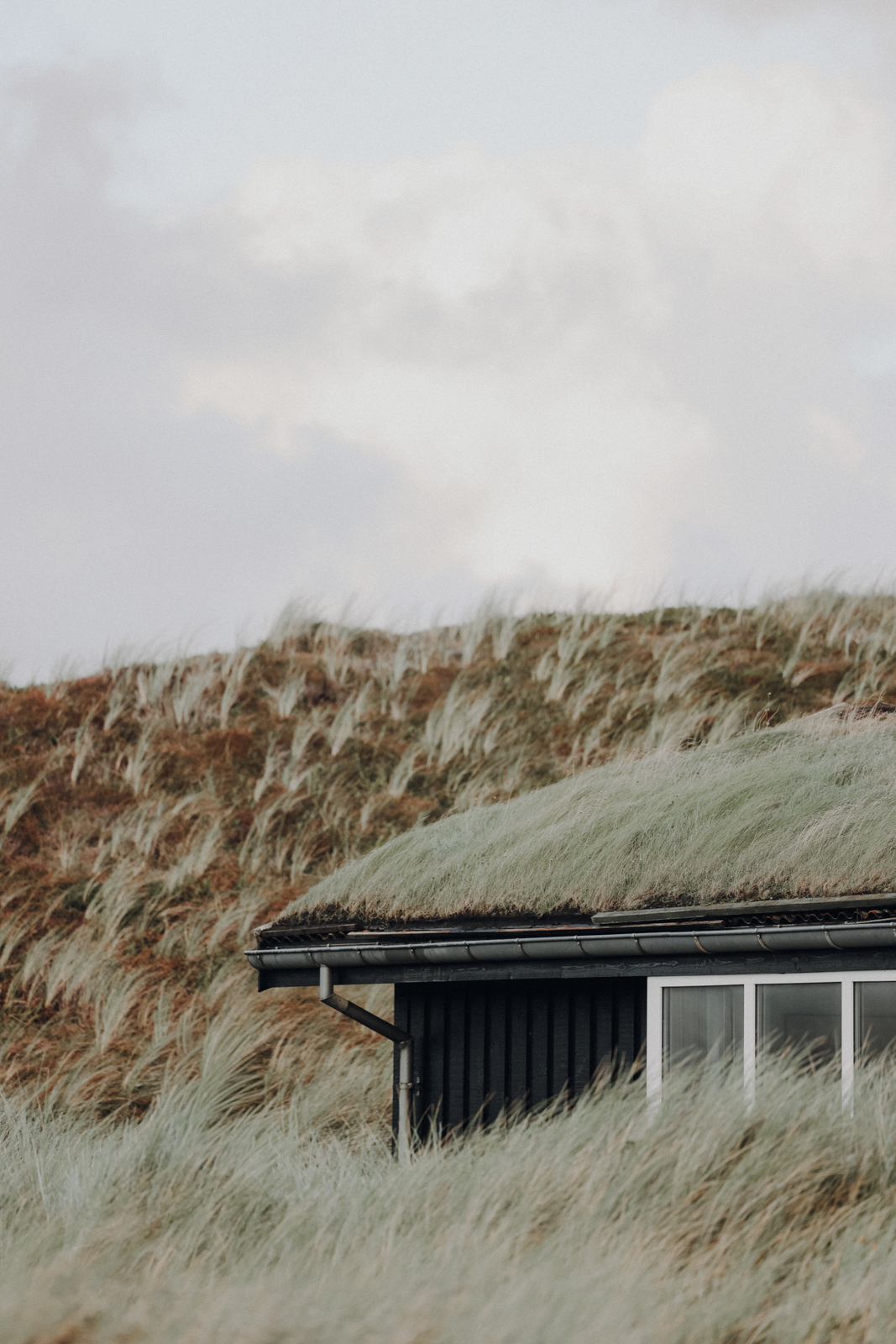 Hvide Sande Ferienhaus DanWest 