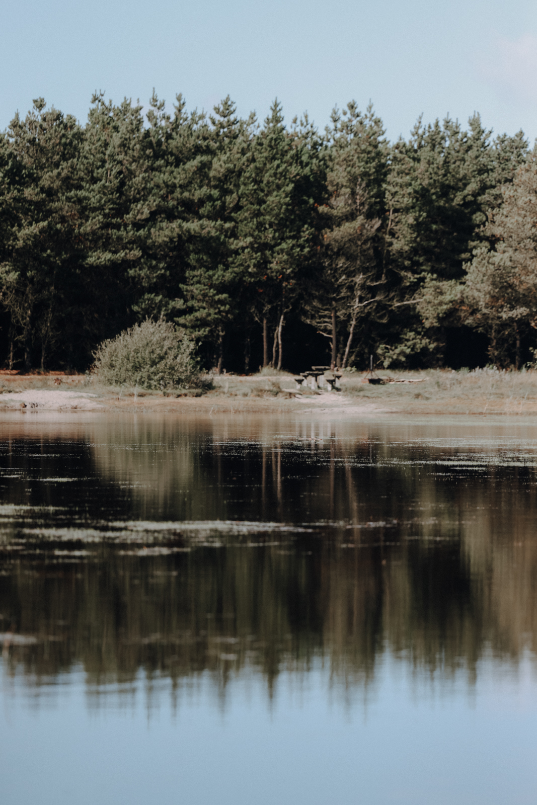 Hvide Sande Wandern Husby Klitplantage