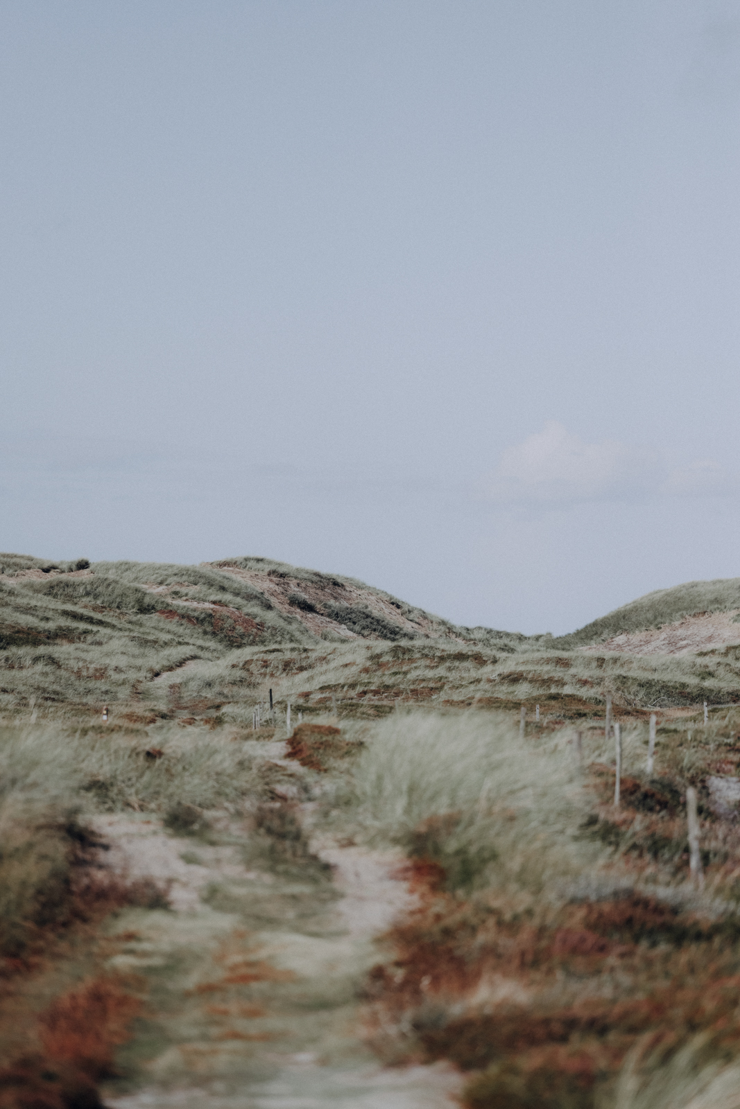 Hvide Sande Wandern Husby Klitplantage