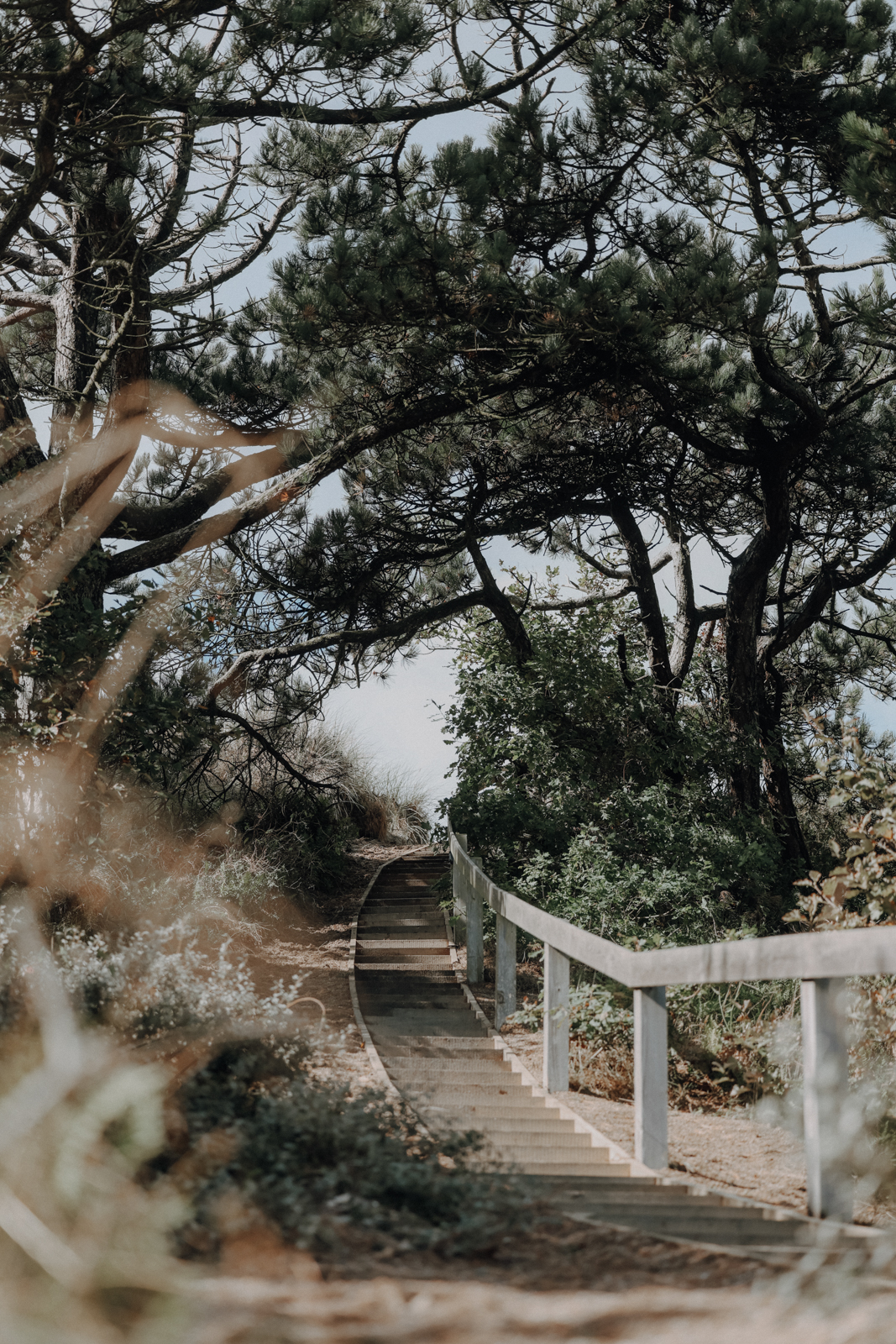 Hvide Sande Wandern Husby Klitplantage