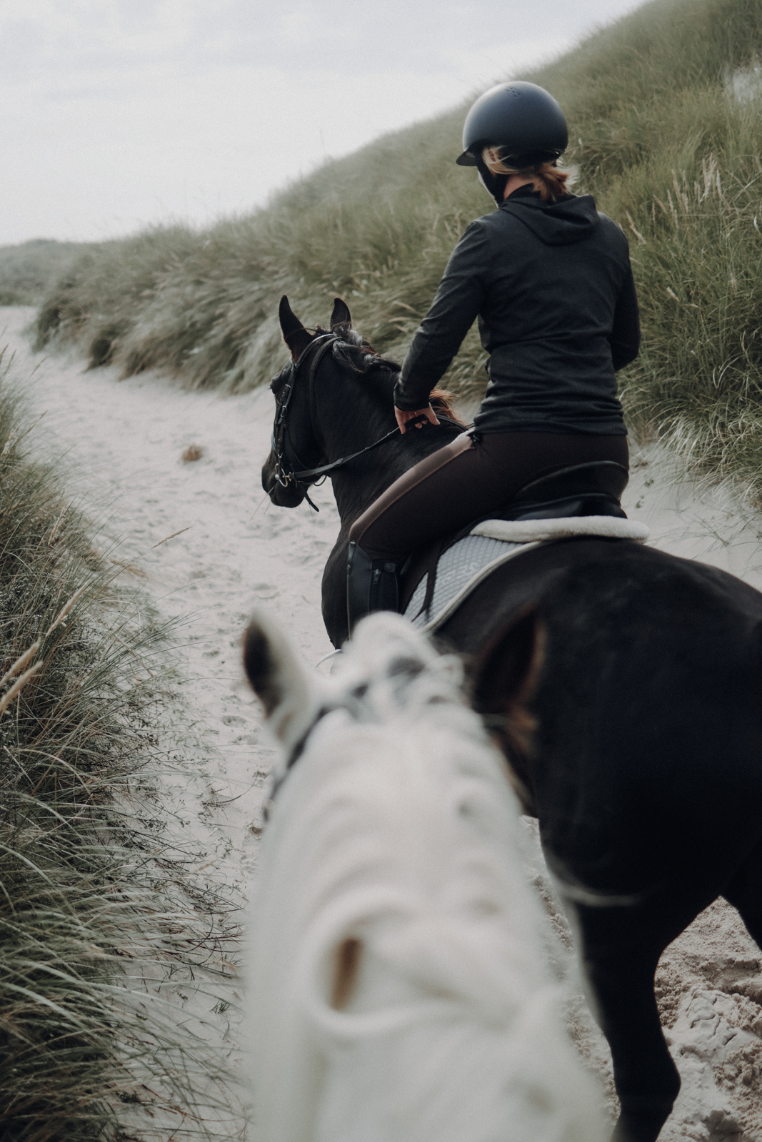 Hvide Sande Ridecenter Reiterhof Strandritt
