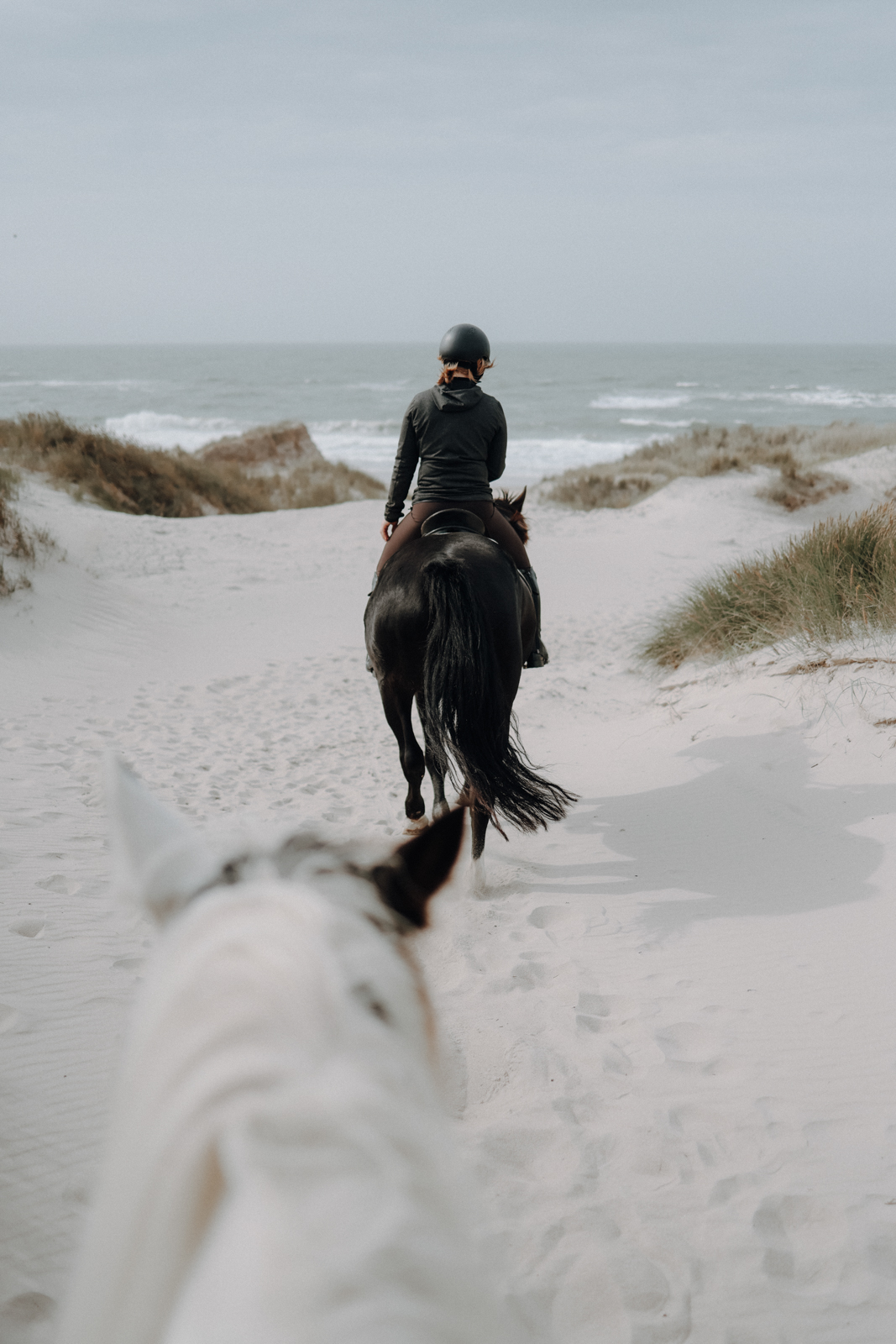 Hvide Sande Ridecenter Reiterhof Strandritt