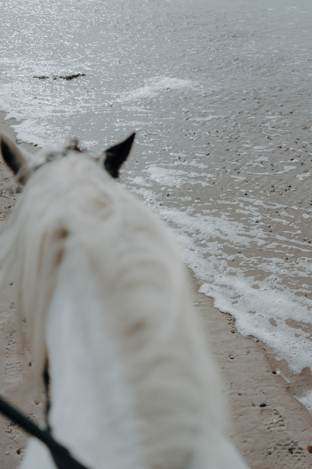 Hvide Sande Ridecenter Reiterhof Strandritt
