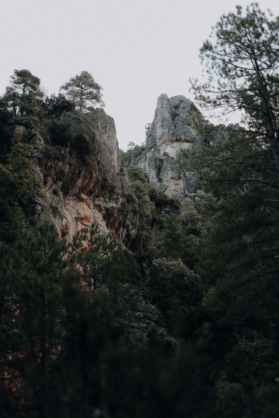 Estels del Sud Parc Natural dels Ports El Parrizal