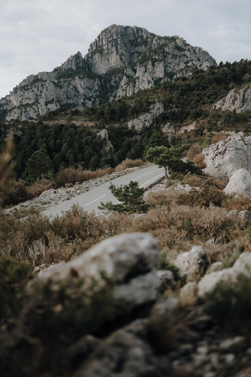 Parc Natural dels Ports