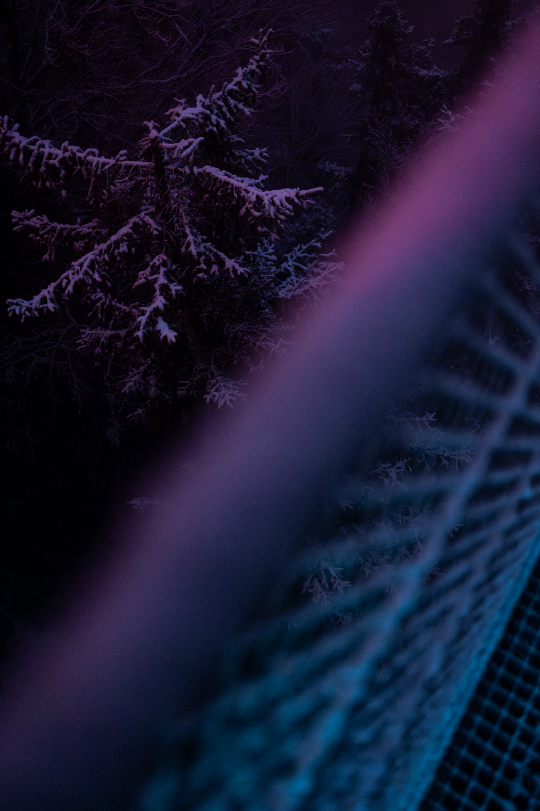 Highline 179 Reutte Burg Ehrenberg