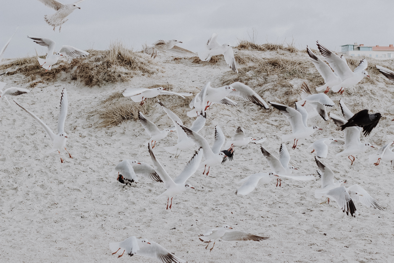 Schweden Sauna Ribersborg Kallbadhus, Malmö