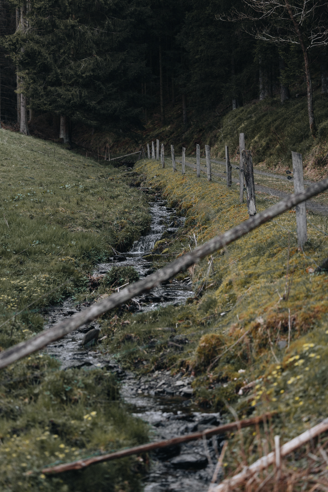 Golddorf-Route Oberkirchen, Wandern im Sauerland, Schmallenberger Sauerland, Rothaargebirge