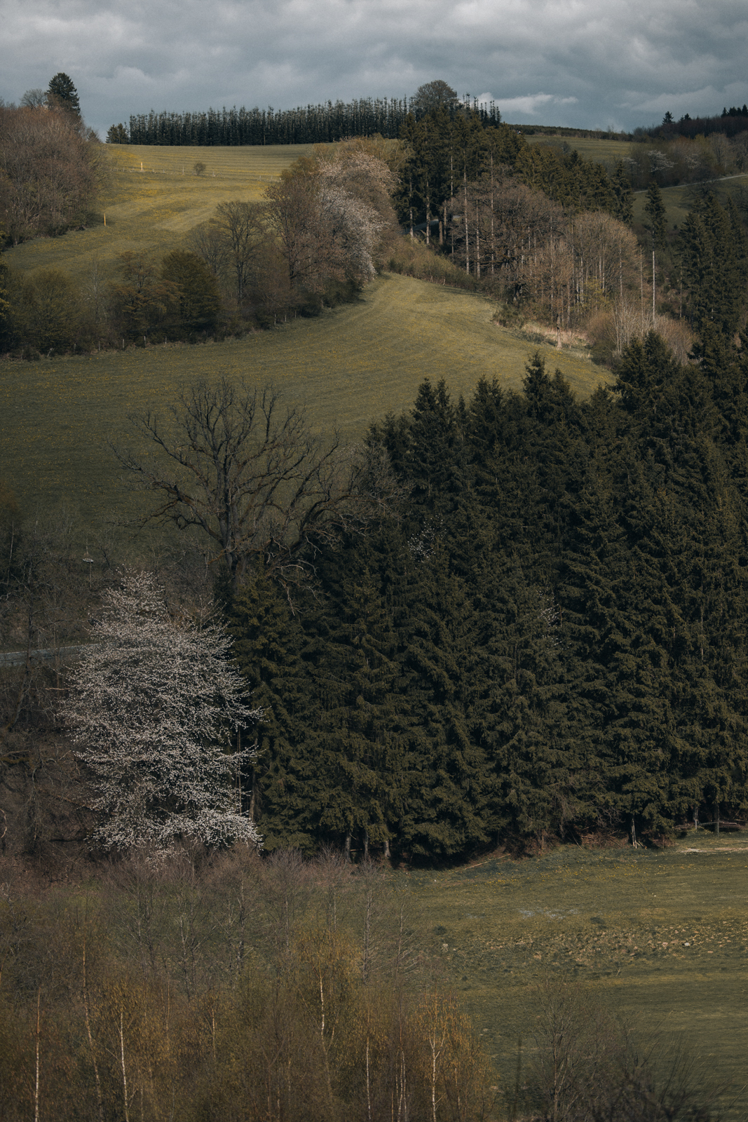 Golddorf-Route Oberkirchen, Wandern im Sauerland, Schmallenberger Sauerland, Rothaargebirge