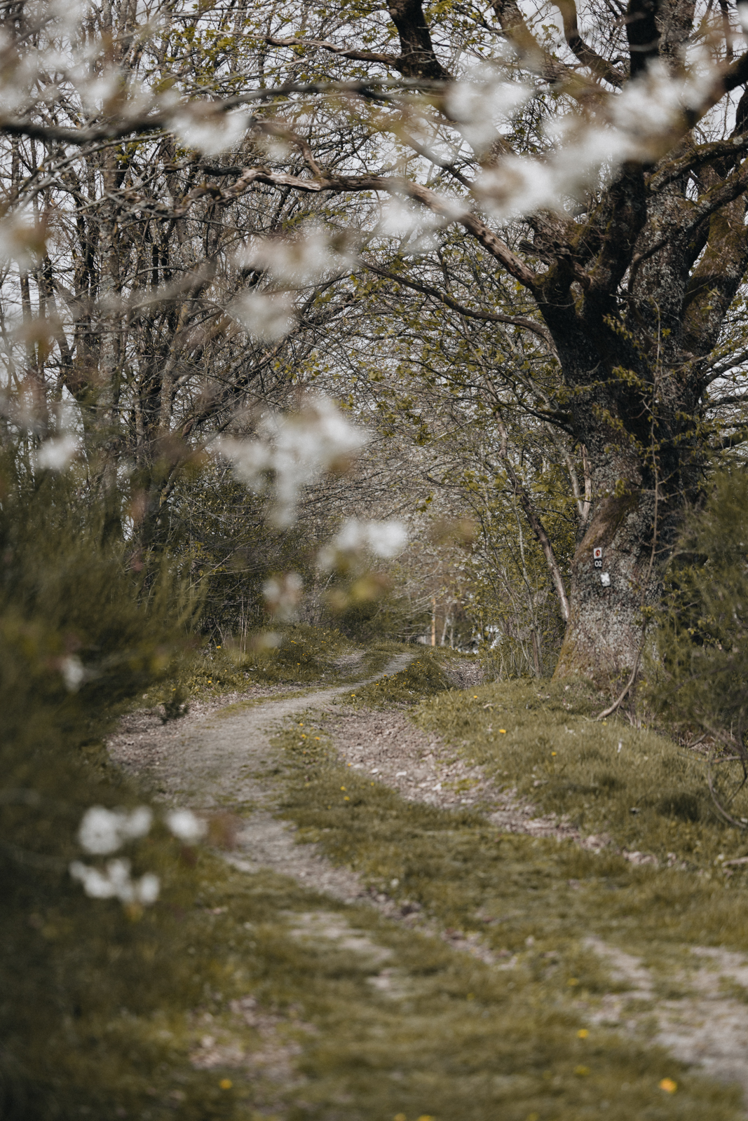 Golddorf-Route Oberkirchen, Wandern im Sauerland, Schmallenberger Sauerland, Rothaargebirge