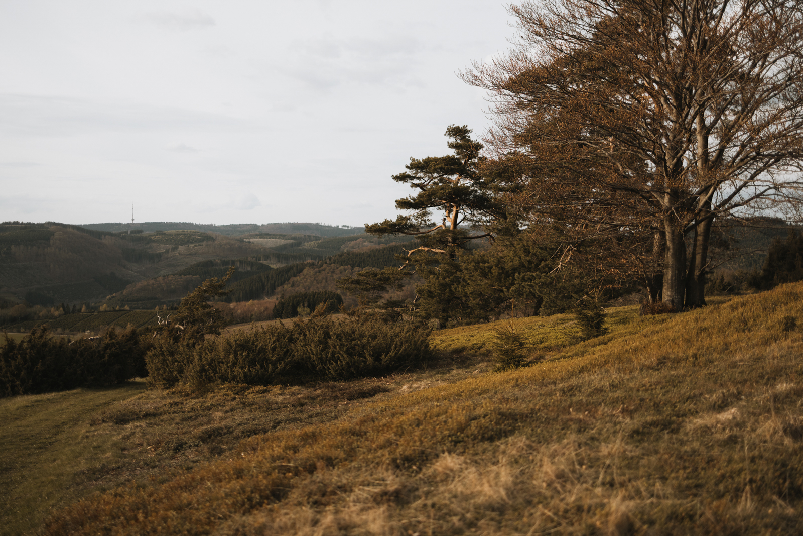 Golddorf-Route Oberkirchen, Naturschutzgebiet Auf der Sommerseite Sonnenuntergang
