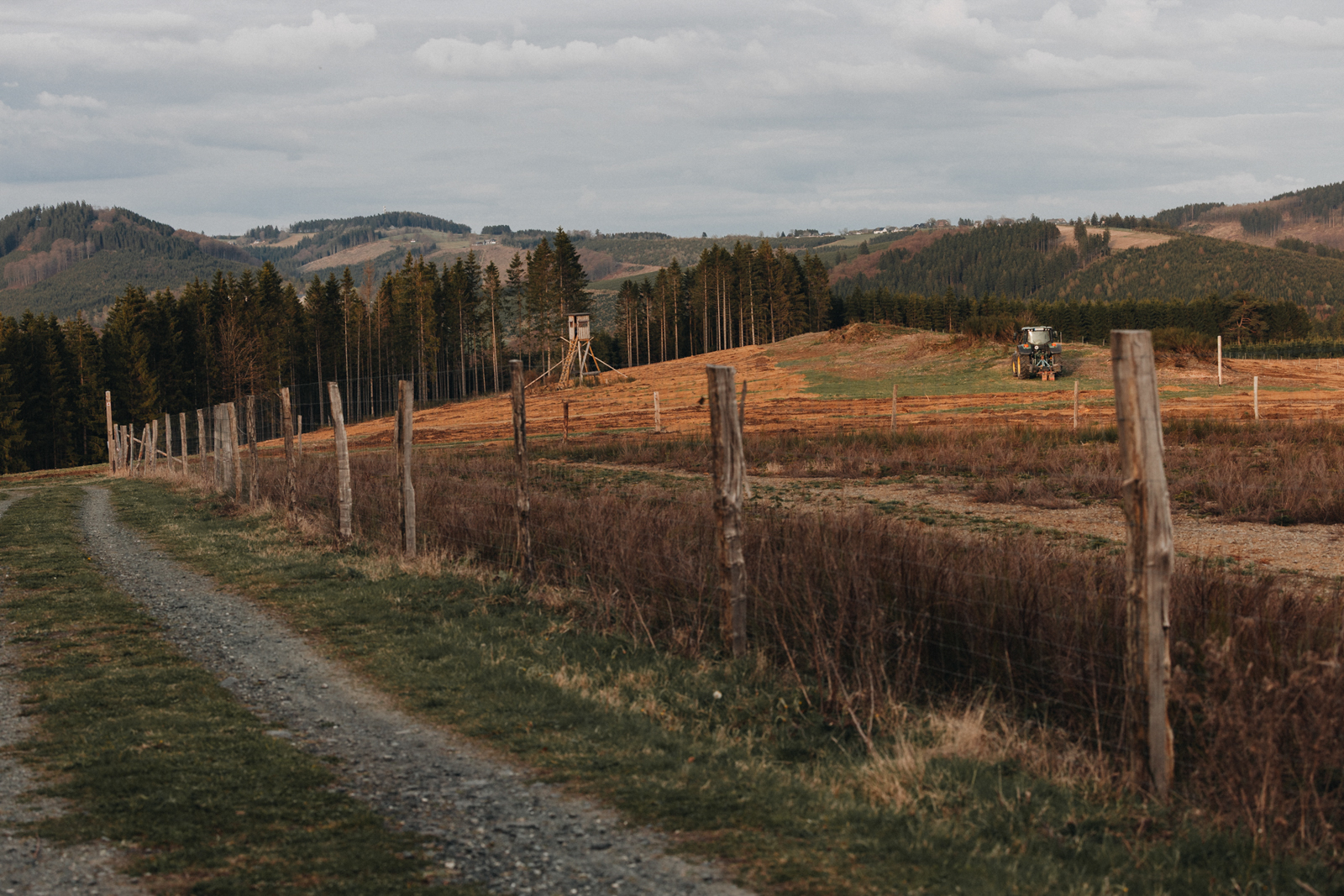 Golddorf-Route Oberkirchen, Naturschutzgebiet Auf der Sommerseite Sonnenuntergang