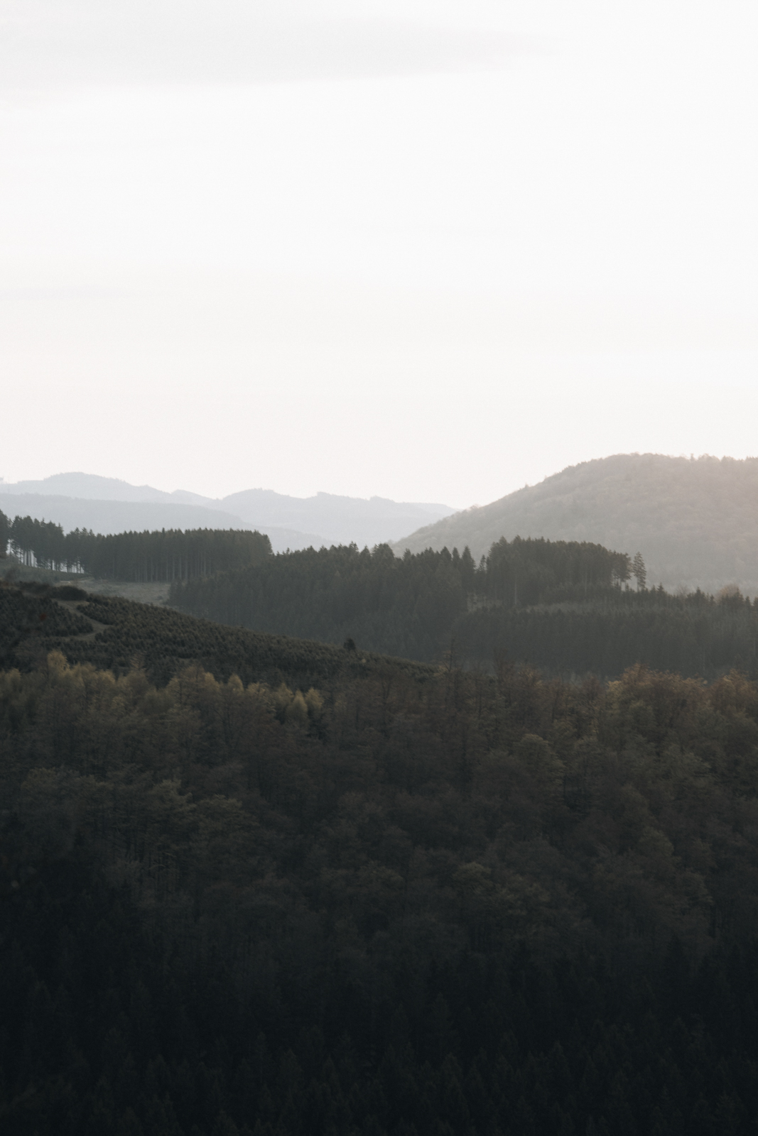 Golddorf-Route Oberkirchen, Naturschutzgebiet Auf der Sommerseite Sonnenuntergang