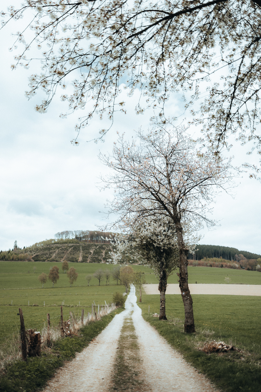 Sauerland Höhenflug Wandern Holthausen