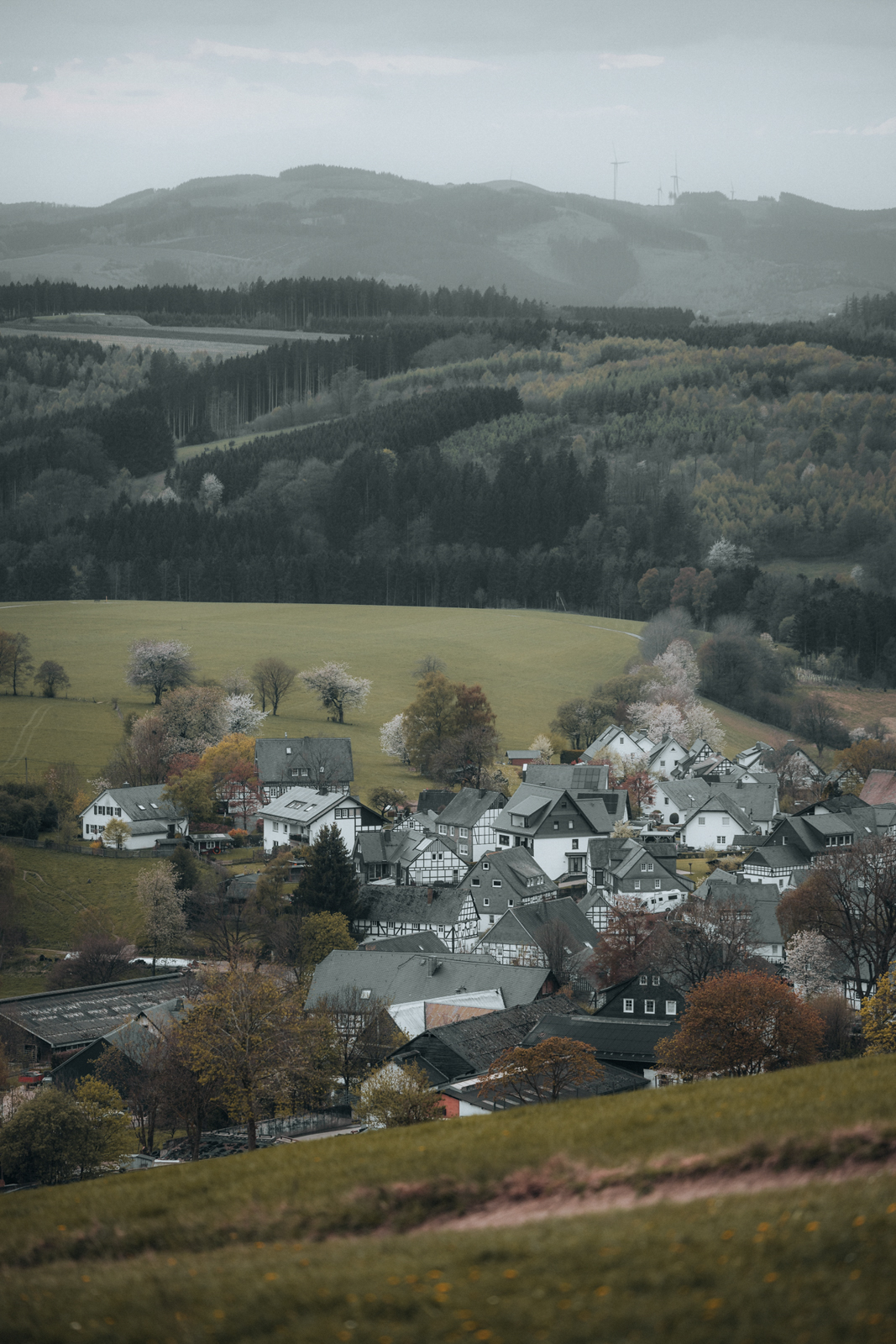 Sauerland Höhenflug Wandern Holthausen