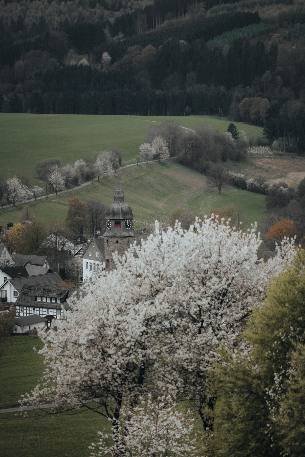 Sauerland Höhenflug Wandern Holthausen