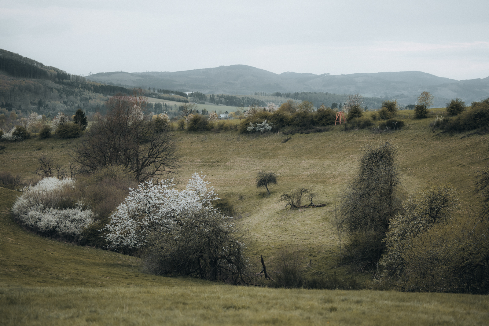 Sauerland Höhenflug Wandern Holthausen