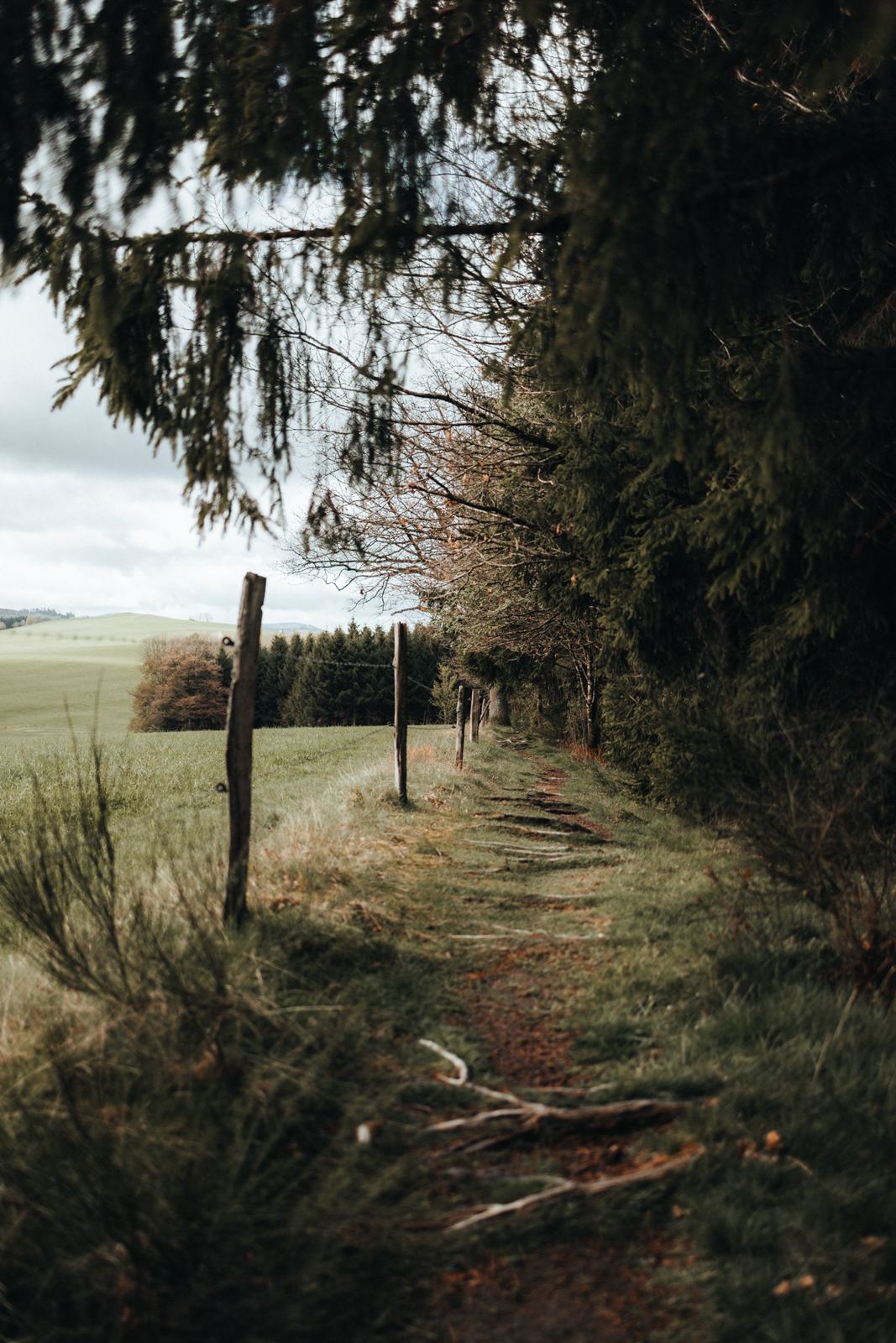 Fotoroute Oberkirchen, Wandern im Sauerland, Schmallenberger Sauerland, Rothaargebirge