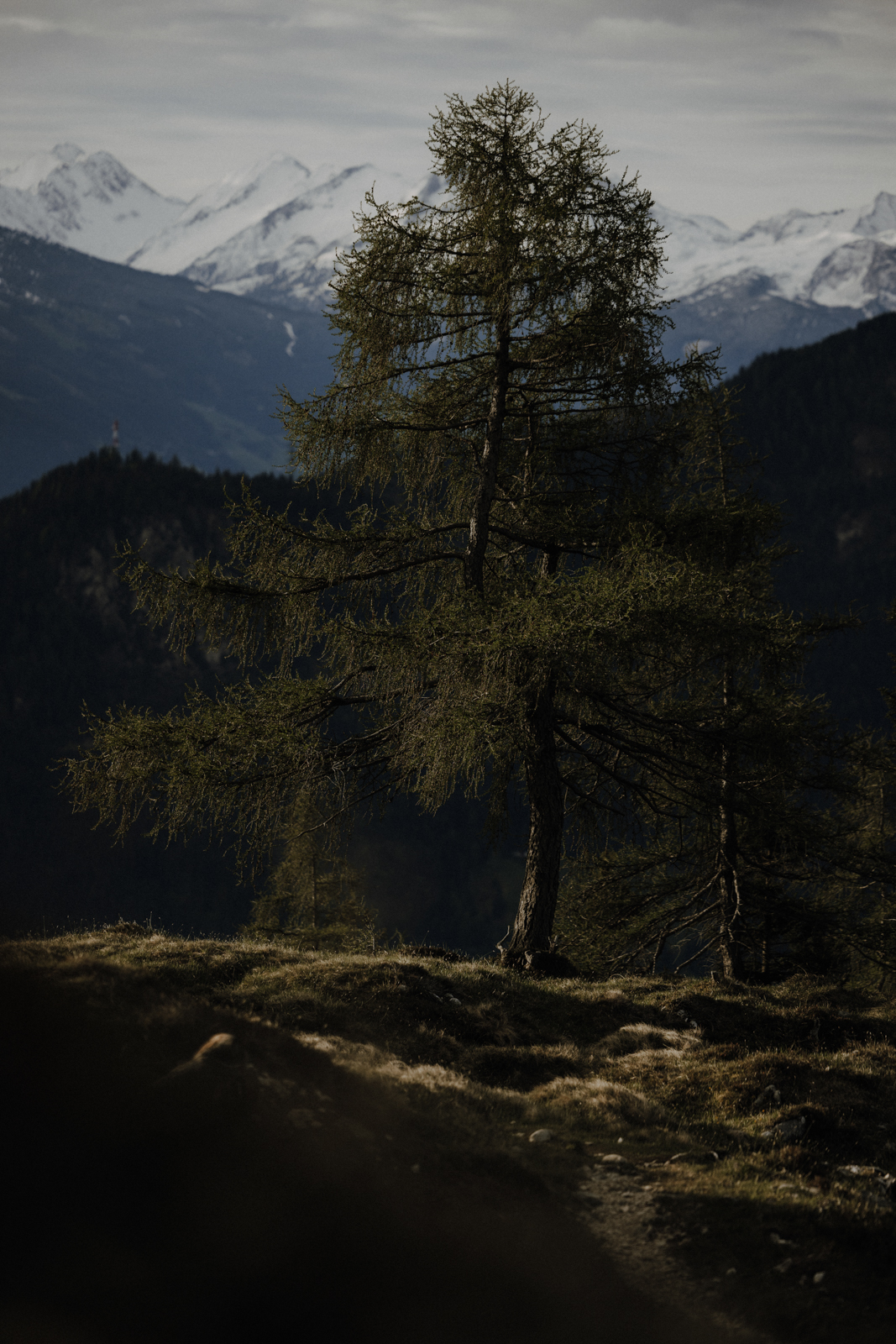 Achensee Wanderung Sonnenaufgang Astenau Alpe