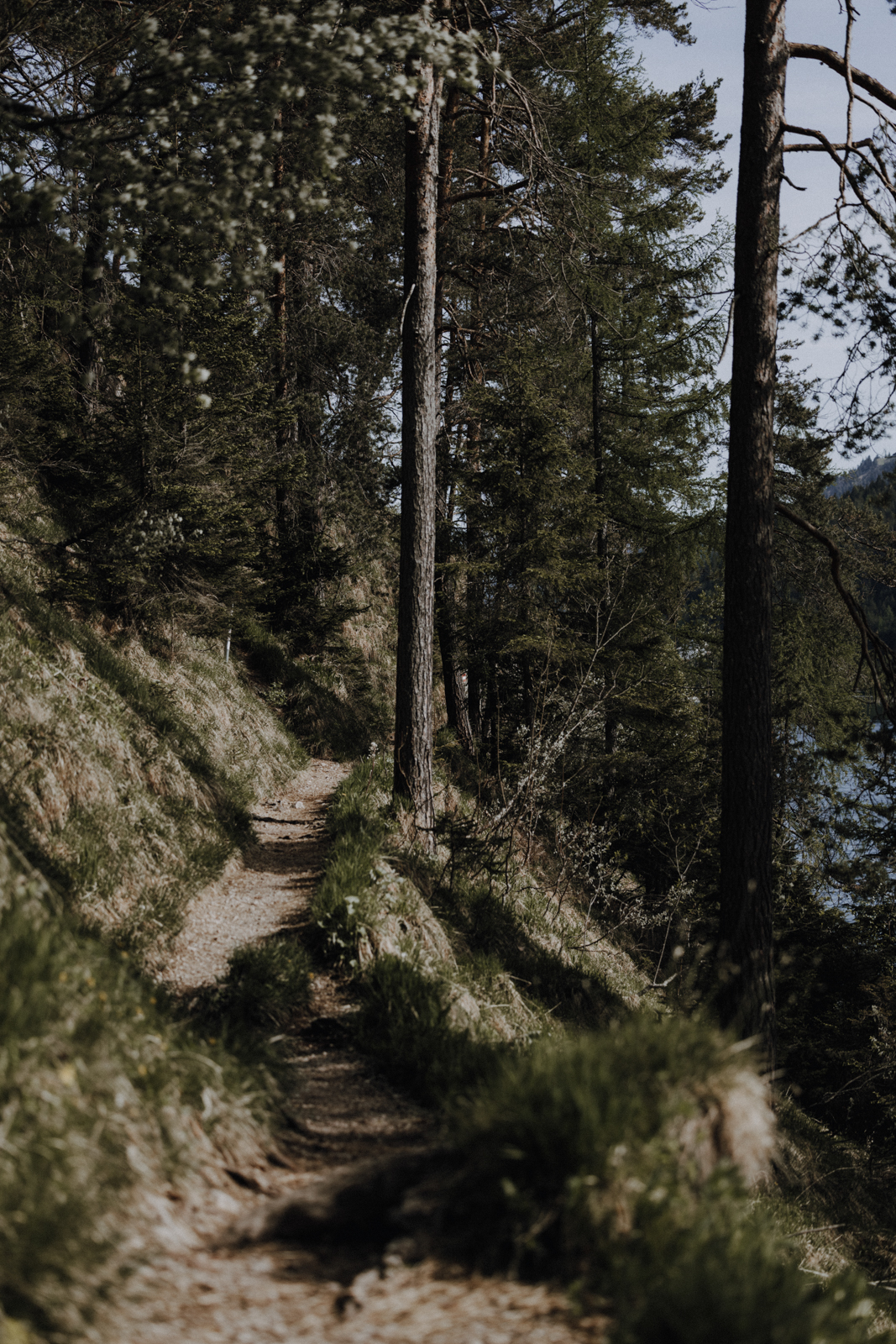 Achensee wandern Gaisalmsteig Mariensteig