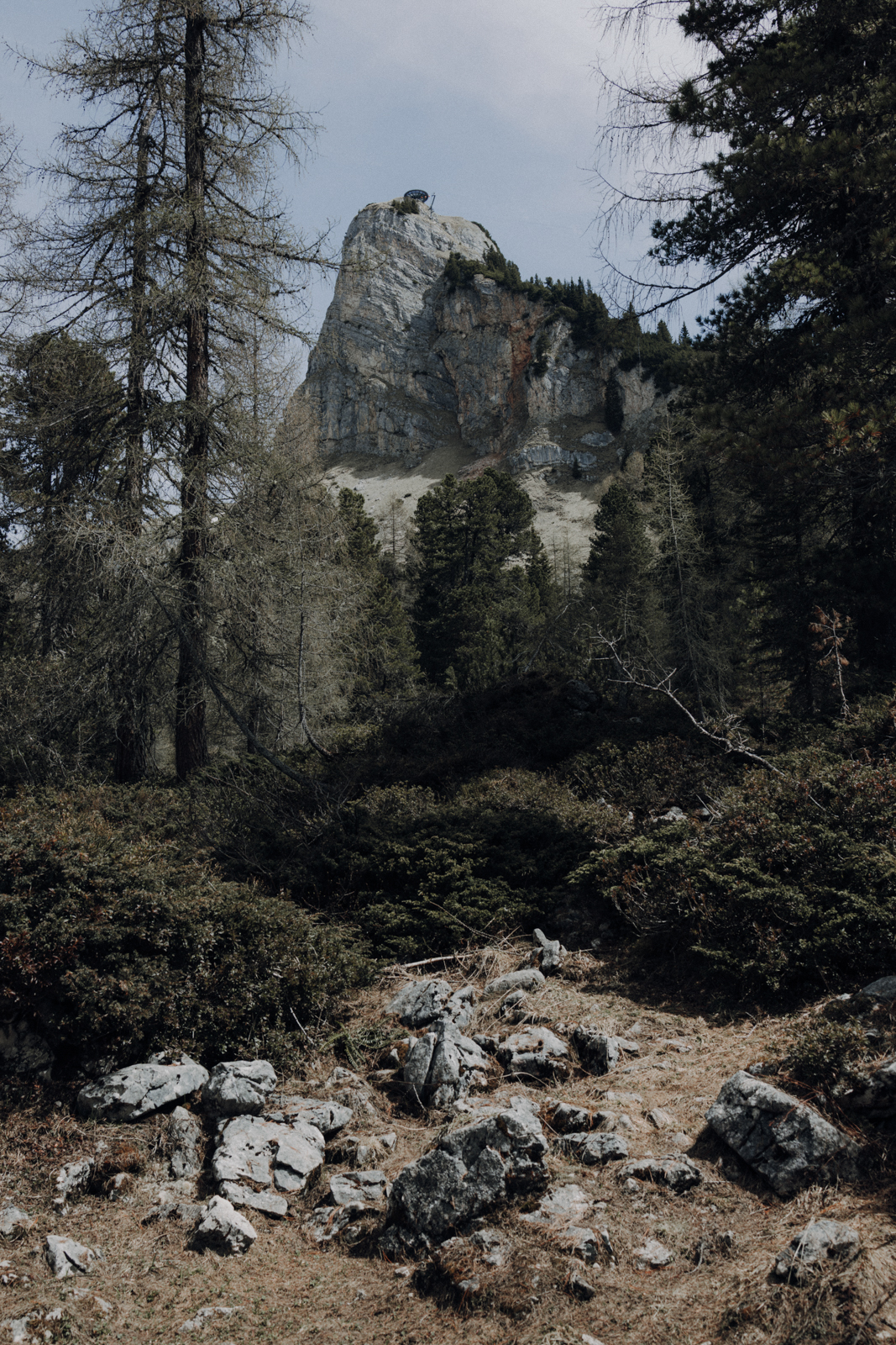 Achensee Wanderung Dalfaz Alm Rofangebirge