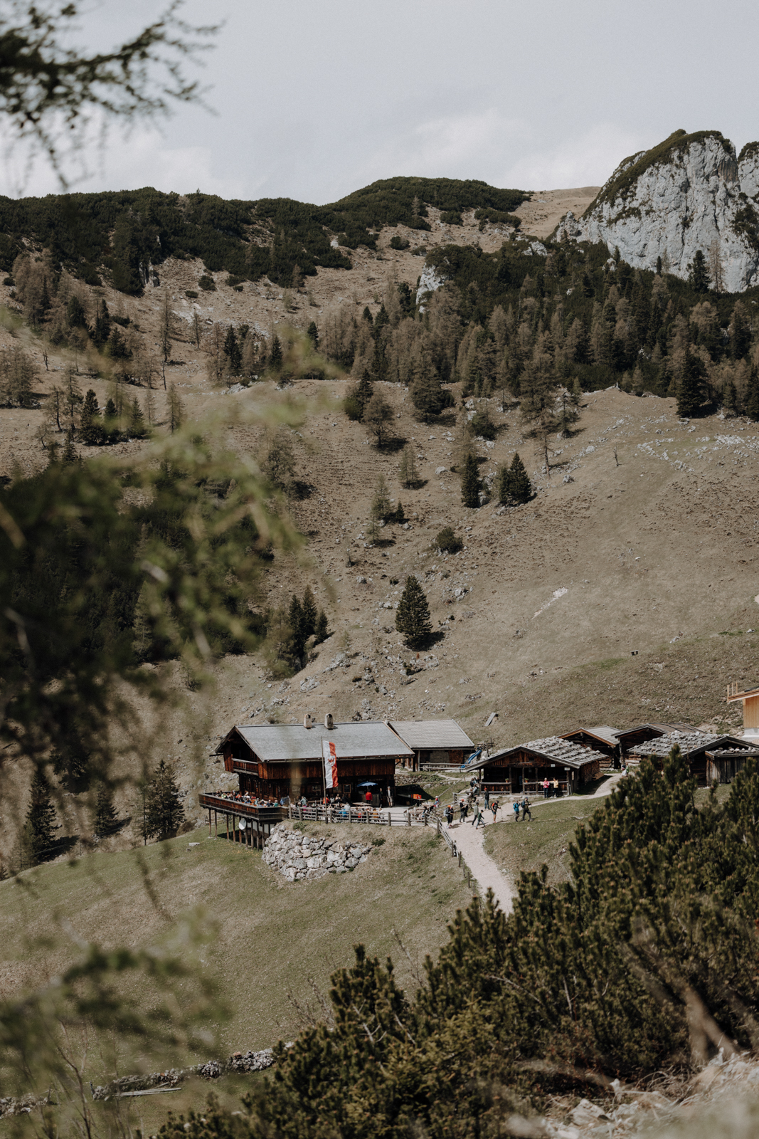 Achensee Wanderung Dalfaz Alm