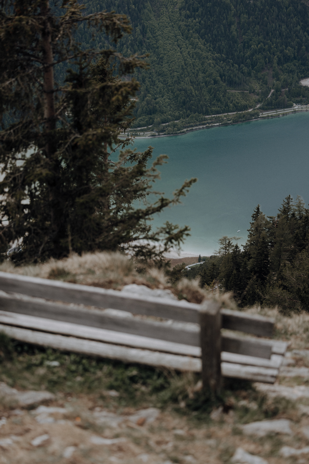 Achensee Wanderung Dalfaz Alm Rofangebirge